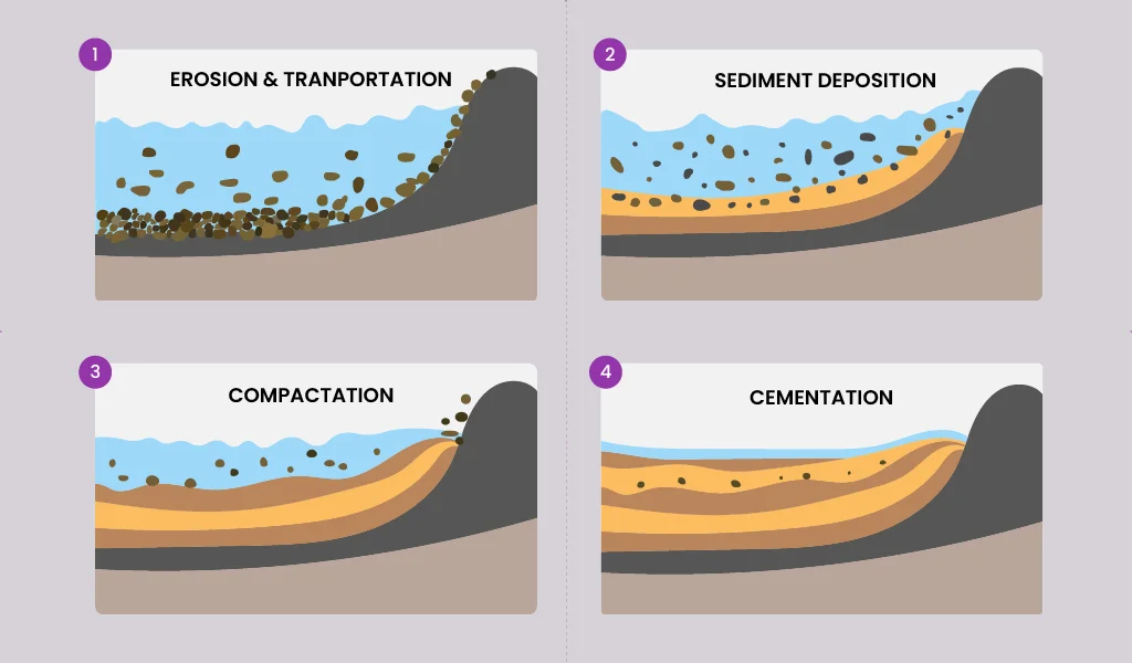  | The Ultimate Guide to Sandstone: Benefits, Uses, and Why It’s the Best Choice for Your Project Introduction